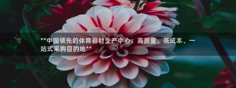 富联平台开户条件：**中国领先的体育器材生产中心：高