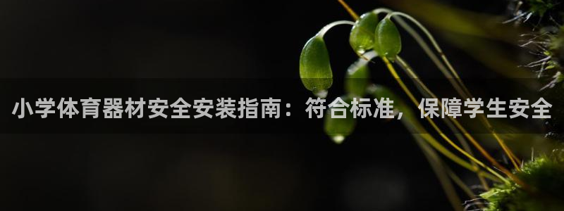 富联平台官网登录不了：小学体育器材安全安装指南：符合