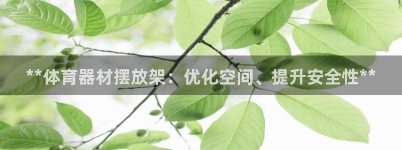 富联平台认 585341 富联：**体育器材摆放架：