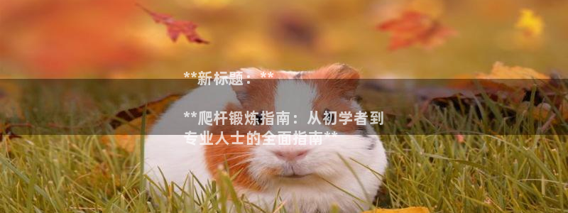 富联娱乐登录地址查询：**新标题：**

**爬杆锻