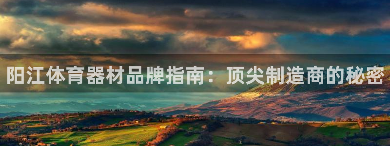 富联集团做什么的呀：阳江体育器材品牌指南：顶尖制造商