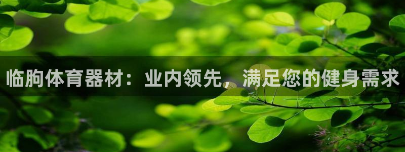 富联娱乐测速地址是什么：临朐体育器材：业内领先，满足