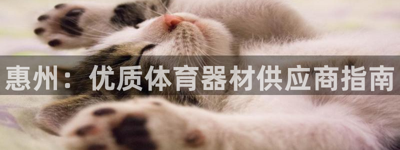 富联机械：惠州：优质体育器材供应商指南