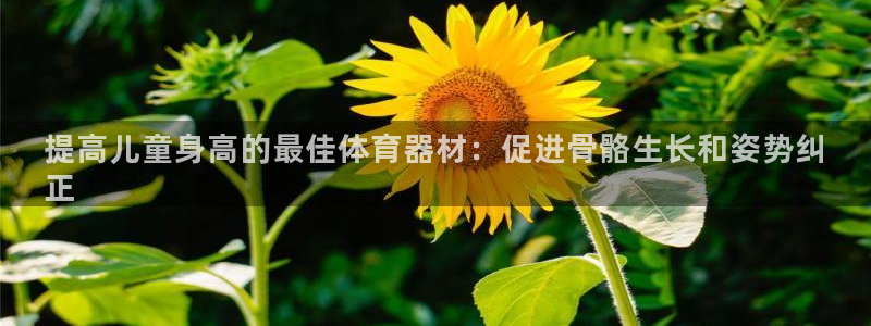 富联公寓租房怎么样：提高儿童身高的最佳体育器材：促进