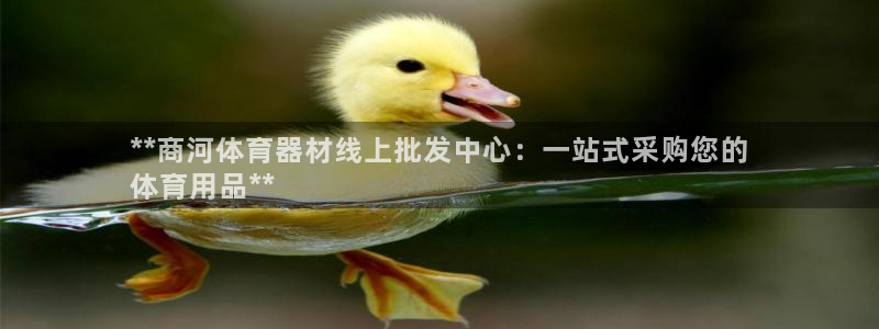 富联化工：**商河体育器材线上批发中心：一站式采购您的
体育