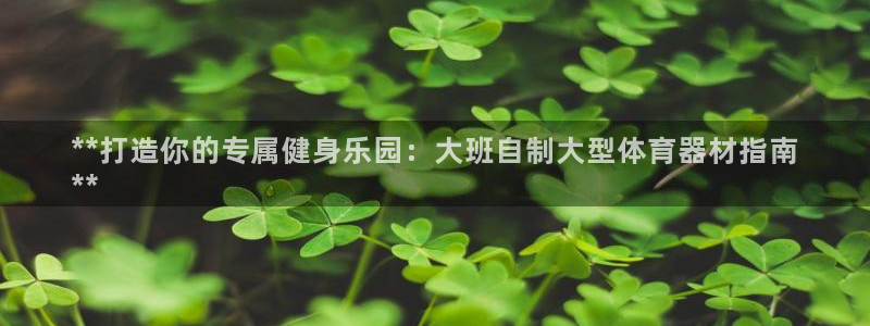 富联官方网站入口查询：**打造你的专属健身乐园：大班自制大型