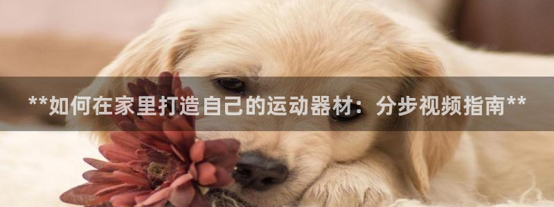 富联科技上市了吗今天：**如何在家里打造自己的运动器材：分步