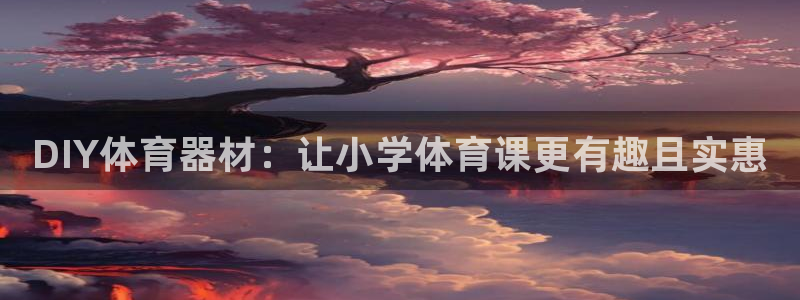 富联平台先 3.7.OO.7.3.5：DIY体育器材