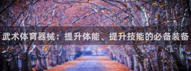 富联平台地址是什么：武术体育器械：提升体能、提升技能