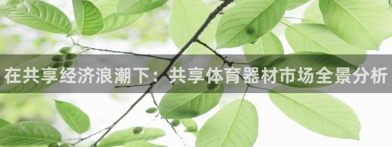 富联官网代理系列是正品吗：在共享经济浪潮下：共享体育