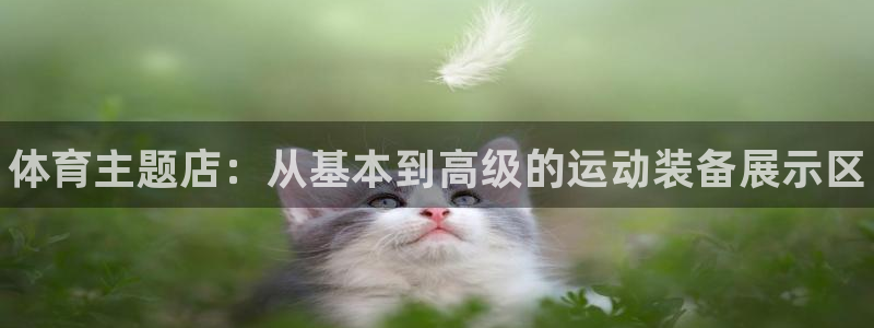 富联申购上市价格预测表