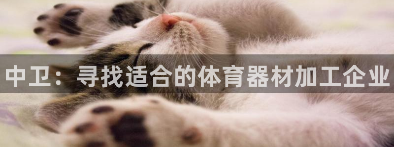 富联娱乐访问中国网站