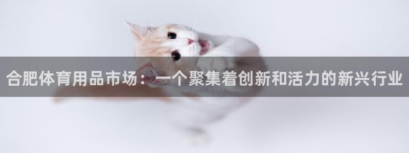 富联官方网站下载app：合肥体育用品市场：一个聚集着创新和活