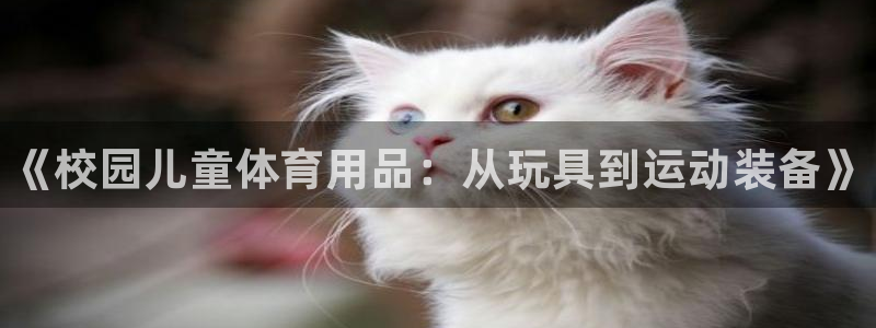 富联娱乐平台开户流程：《校园儿童体育用品：从玩具到运动装备》