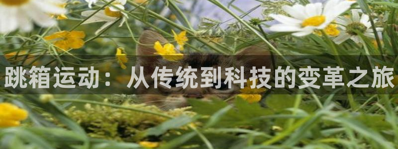 富联股份代码是多少：跳箱运动：从传统到科技的变革之旅