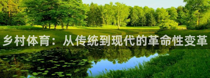 富联平台目 411O31 富联：乡村体育：从传统到现代的革命