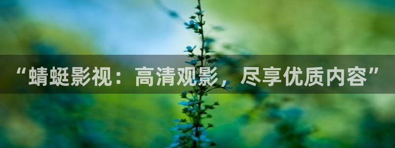 战地电影网：“蜻蜓影视：高清观影，尽享优质内容”