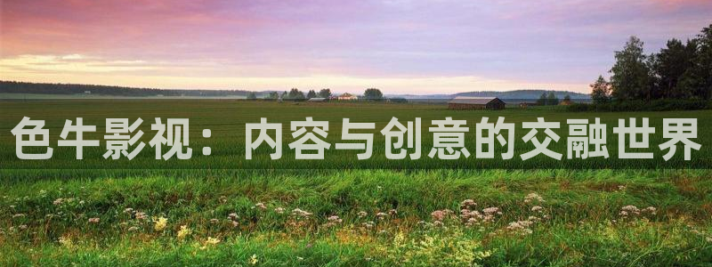 战地影院免费：色牛影视：内容与创意的交融世界
