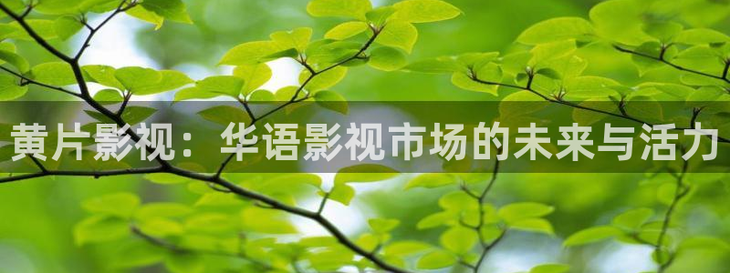 战地英雄电影免费观看：黄片影视：华语影视市场的未来与活力