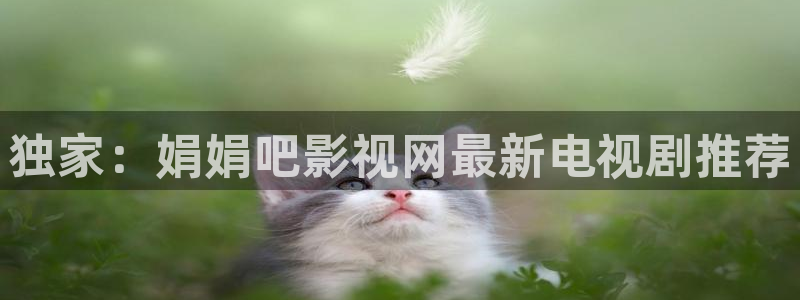 战地影院电影免费高清在线观看：独家：娟娟吧影视网最新电视剧推荐
