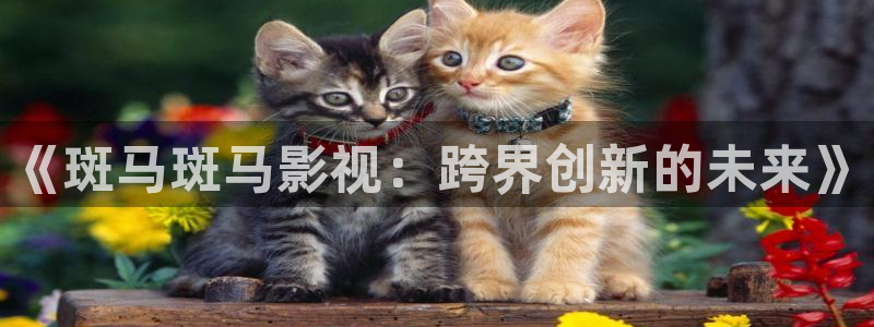 中东反恐电影战地免费播放：《斑马斑马影视：跨界创新的未来》